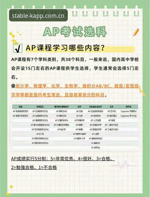 这个选择很稳安卓版评测：从安装到实战的避坑操作教程
